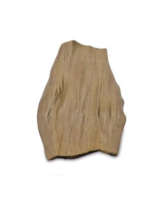 120063_Timber special
